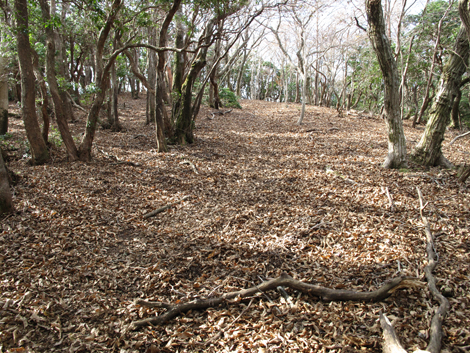 20131124hike (279)